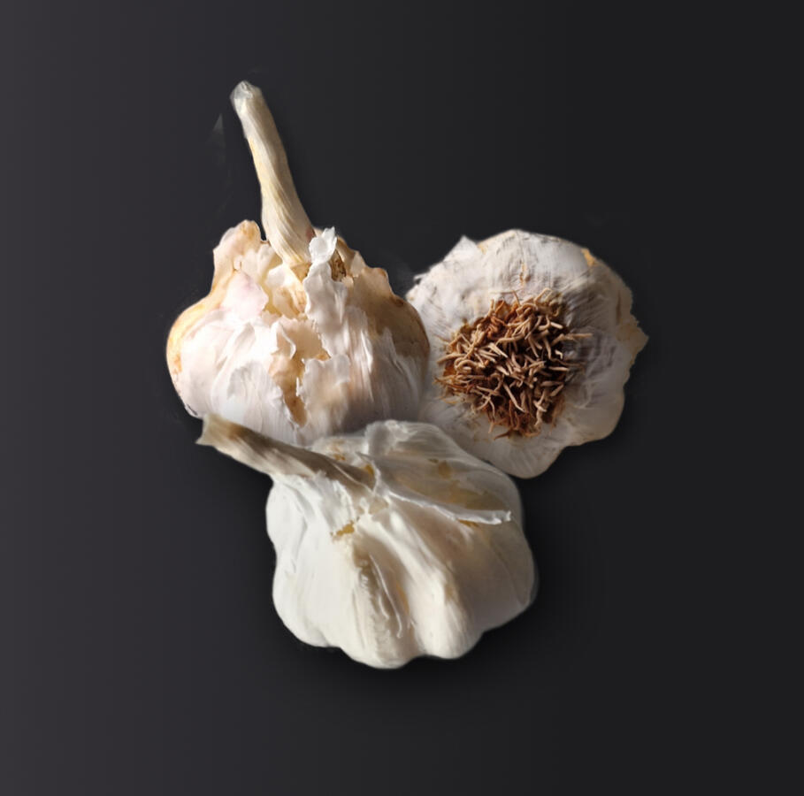 Garlic bulbs - made of mixed media - 6cm wide Garlic bulbs - made of mixed media - 6cm wide